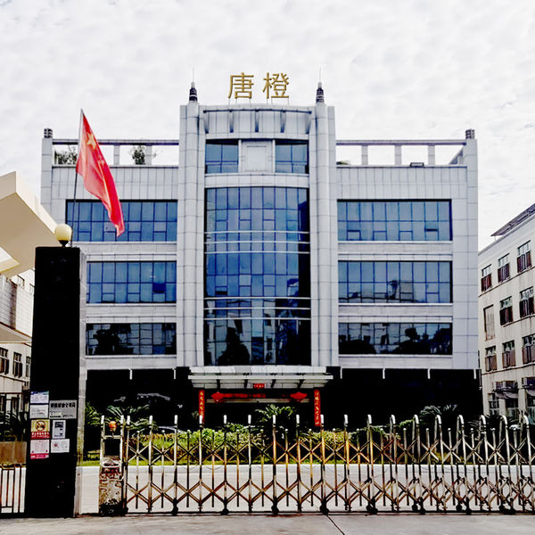 중국 Guangzhou Tangcheng Technology Co., Ltd. 회사 프로필